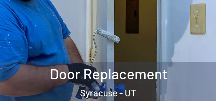  Door Replacement Syracuse - UT